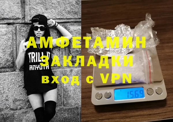 мет Алексин