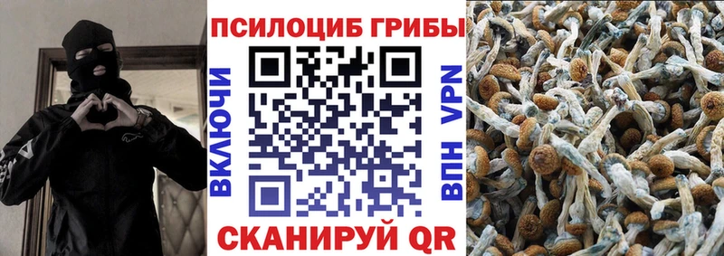 hydra как зайти Багратионовск Псилоцибиновые грибы ЛСД